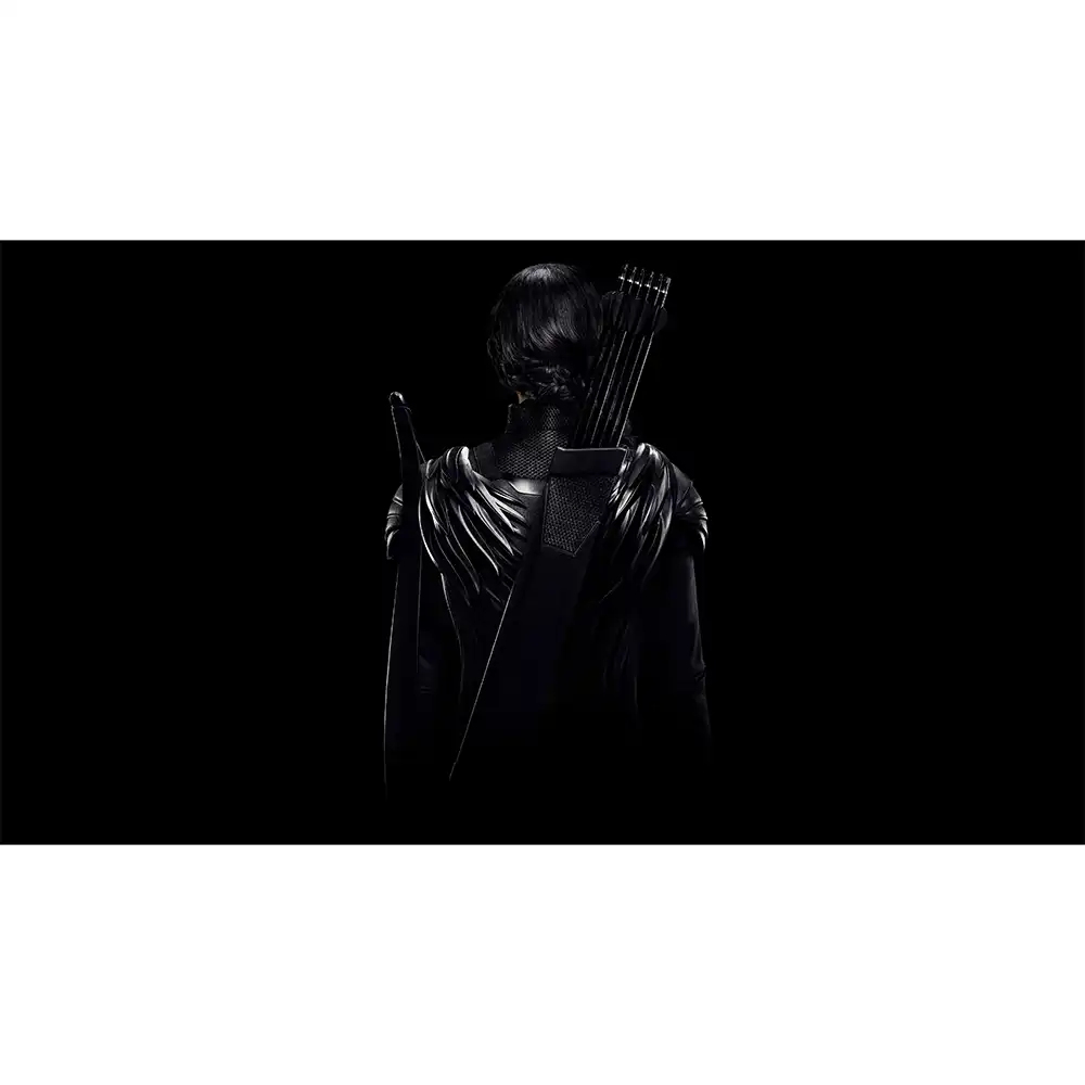 The Hunger Games خرید تابلو شاسی The Hunger Games