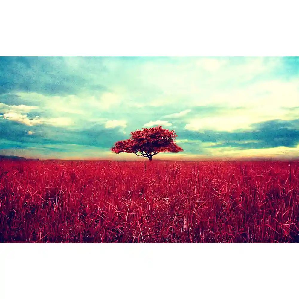 Nature خرید قاب عکس منظره زیبا